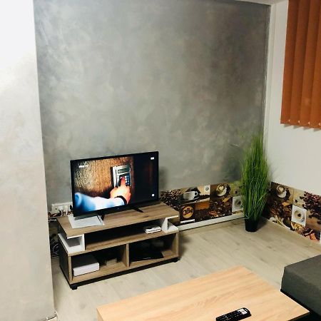 Central Park - Big Apartment - 3 Rooms - Free Parking T5 Timişoara Extérieur photo
