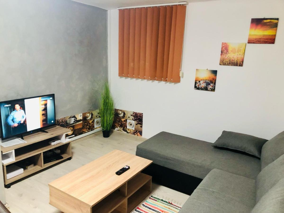 Central Park - Big Apartment - 3 Rooms - Free Parking T5 Timişoara Extérieur photo