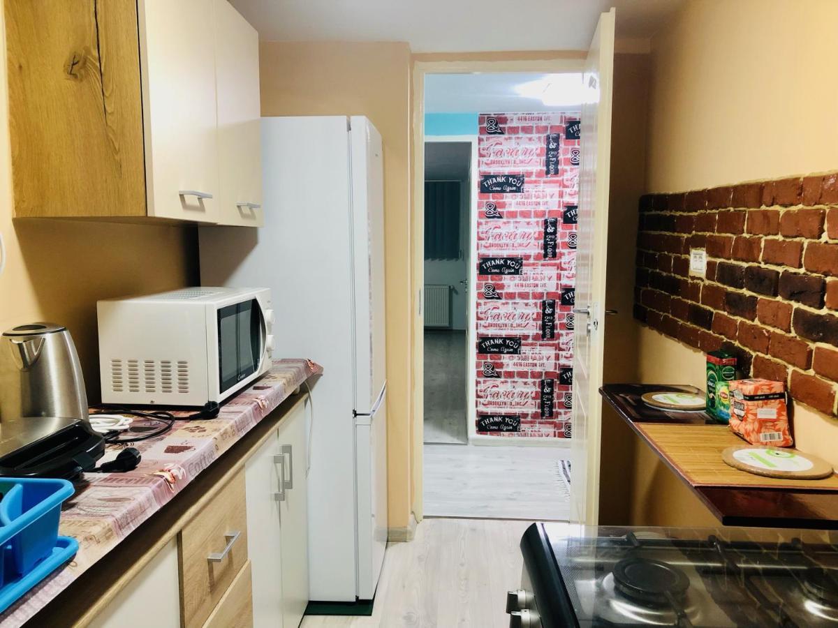 Central Park - Big Apartment - 3 Rooms - Free Parking T5 Timişoara Extérieur photo