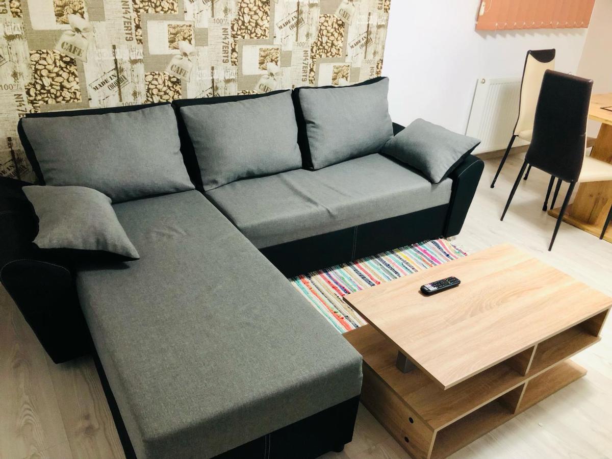 Central Park - Big Apartment - 3 Rooms - Free Parking T5 Timişoara Extérieur photo