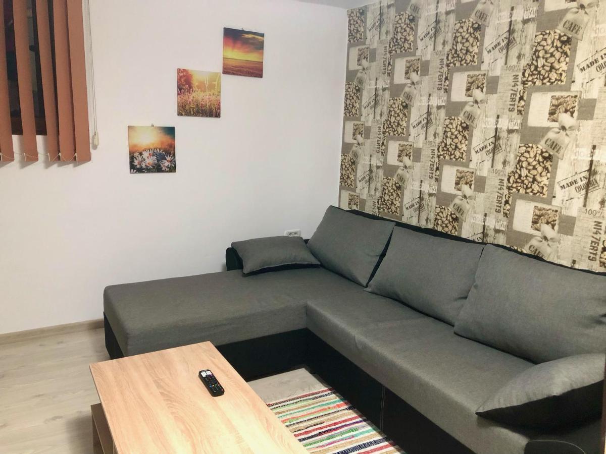 Central Park - Big Apartment - 3 Rooms - Free Parking T5 Timişoara Extérieur photo